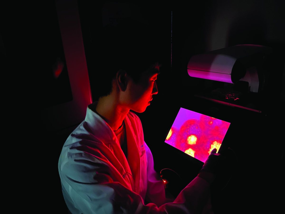 IN THE DARK Senior Alex Pan is looking at stained cells from his most recent experiment.