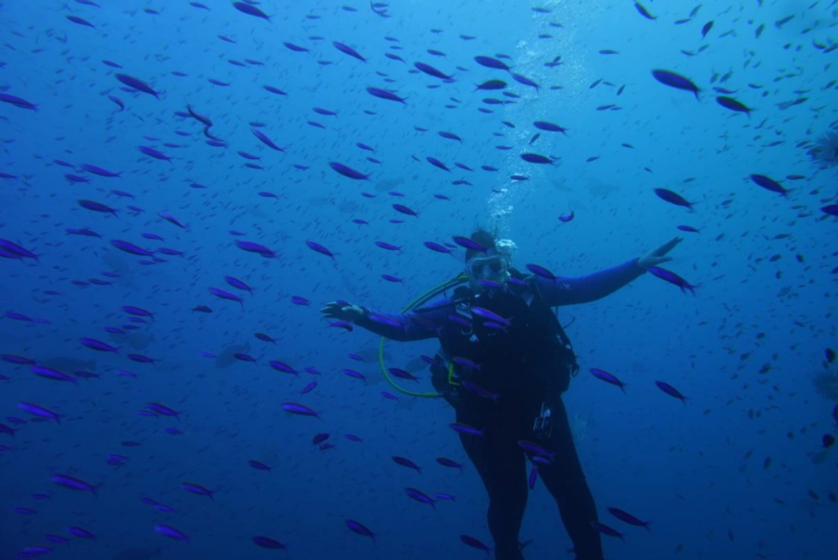 Science instructor, Zach Smith scuba dives in Australia