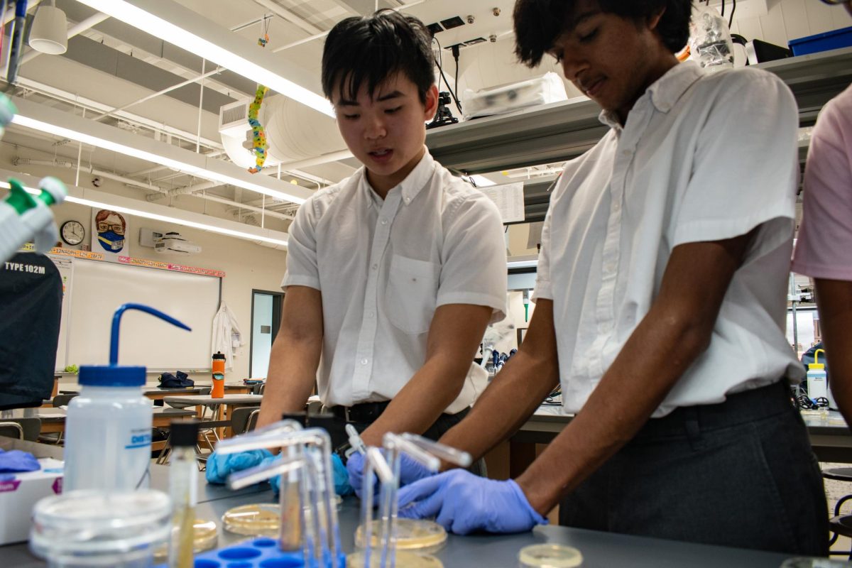 Juniors Daniel Deng and Akul Mittal are culturing bacteria.