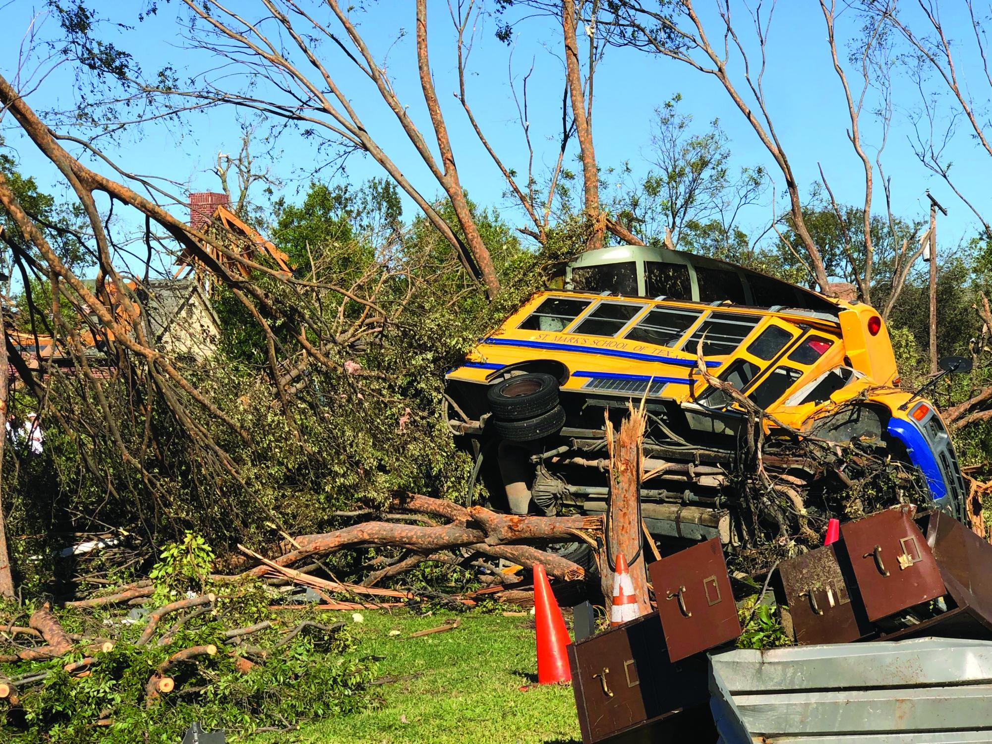 A mangled school bus lies among shattered trees.