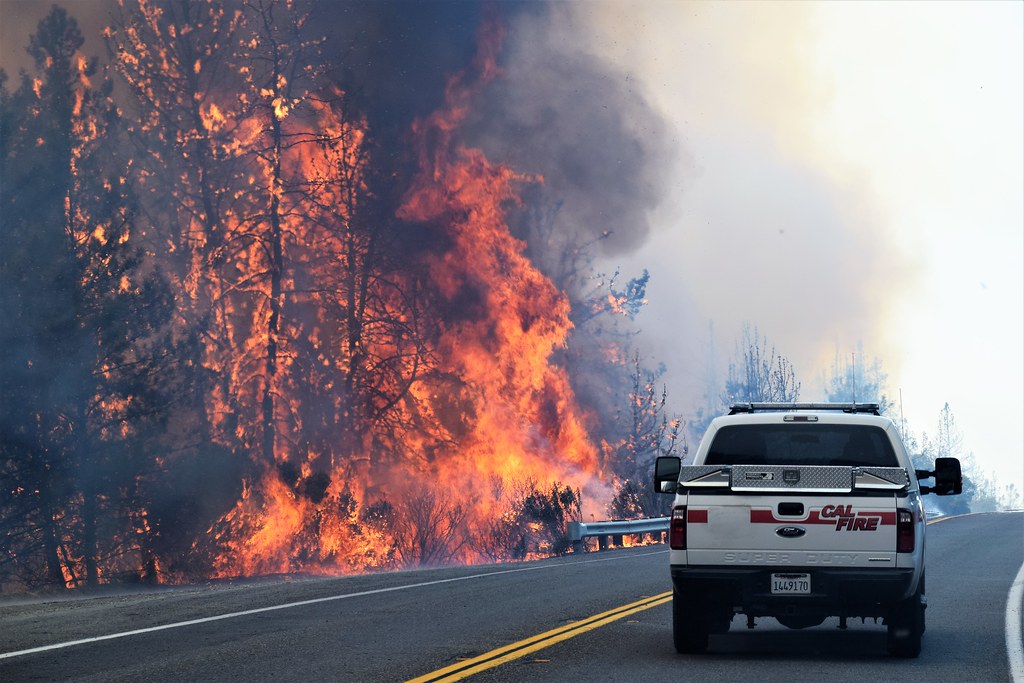 The California wildfires left the forests devastated.