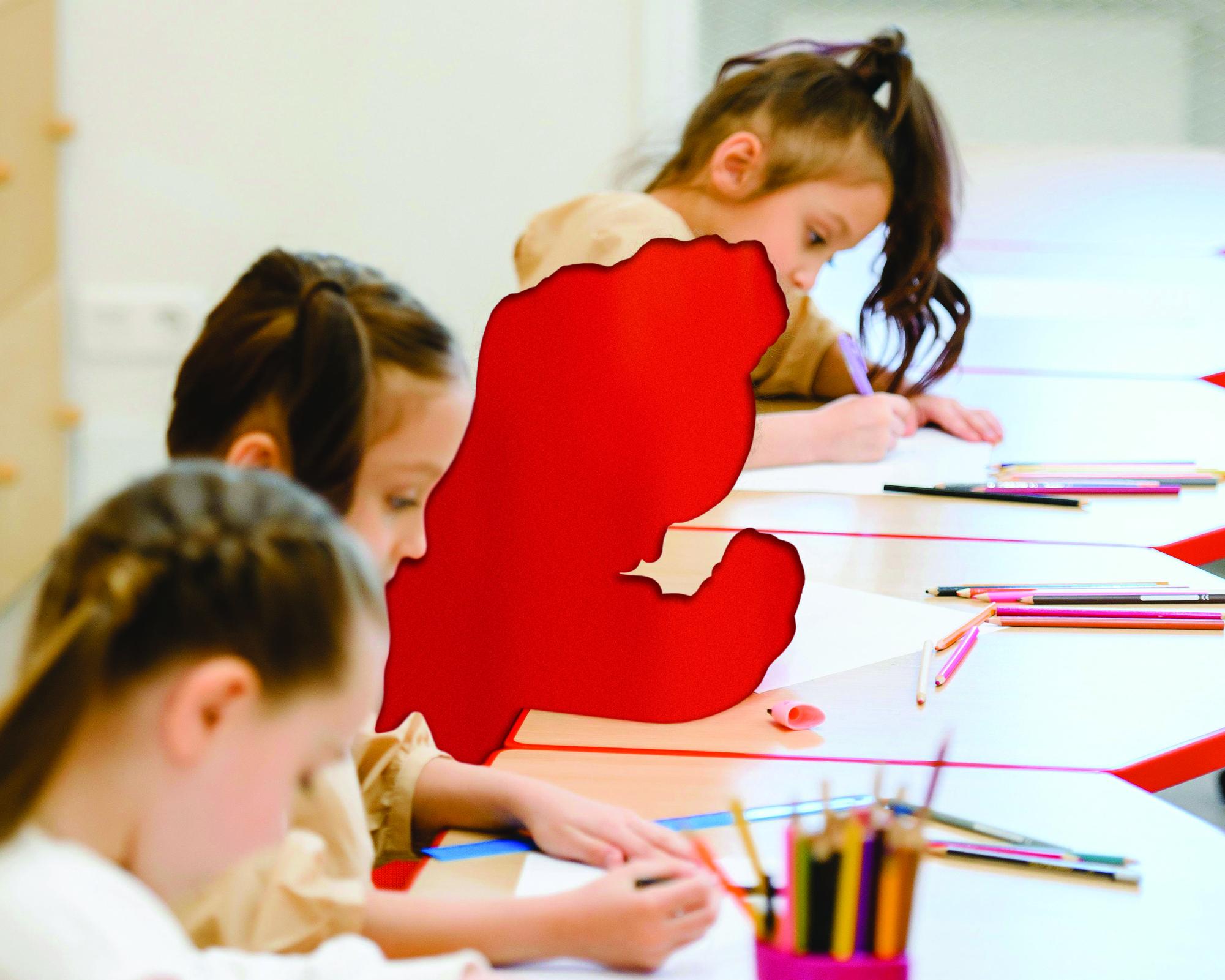 Traditional public school enrollment has noticeably decreased over the years, with one in five students not enrolled in a public institution.  